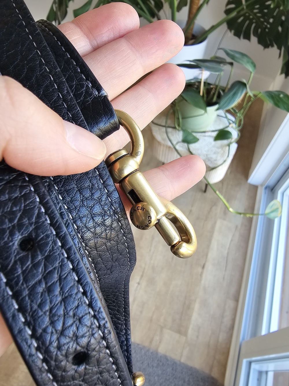 Coach Cary Crossbody - Picture 13 of 13